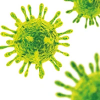 pseudomonas aeruginosa bacterium